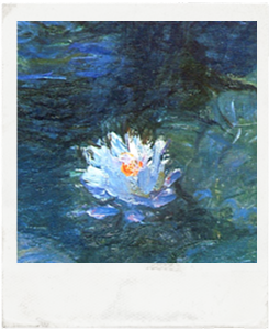 4ème polaroid audiovisuel
